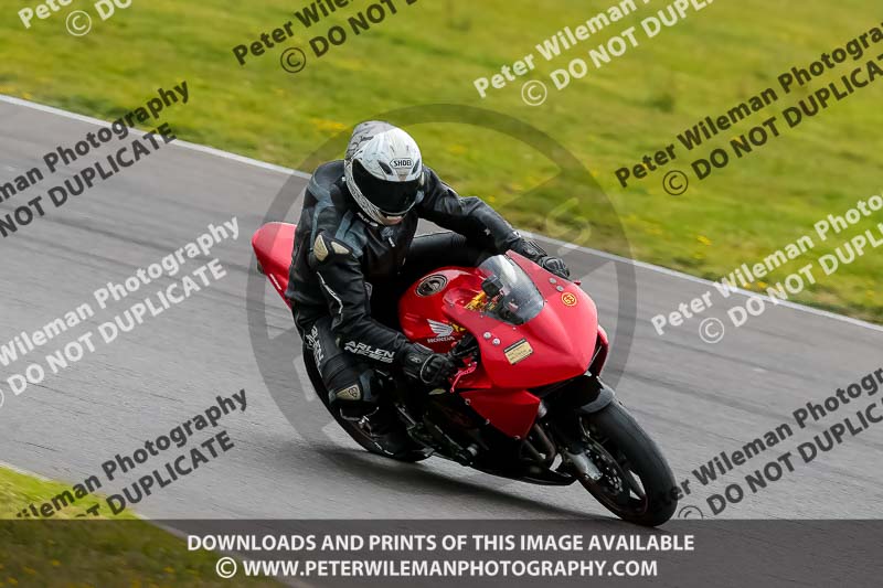 PJ Motorsport 2019;anglesey no limits trackday;anglesey photographs;anglesey trackday photographs;enduro digital images;event digital images;eventdigitalimages;no limits trackdays;peter wileman photography;racing digital images;trac mon;trackday digital images;trackday photos;ty croes